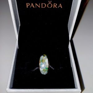 Pandora Retired Murano